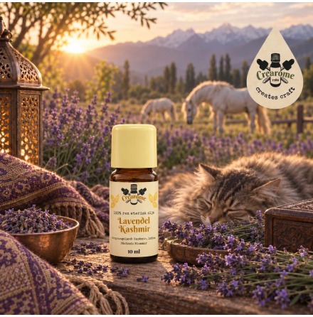 Lavendel Kashmir eterisk olja